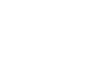 ICCO Logo white